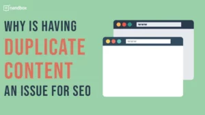 Why is Having Duplicate Content an Issue for SEO