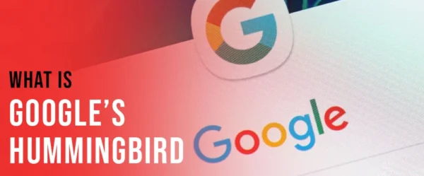 What is Google’s Hummingbird? The Ultimate Guide