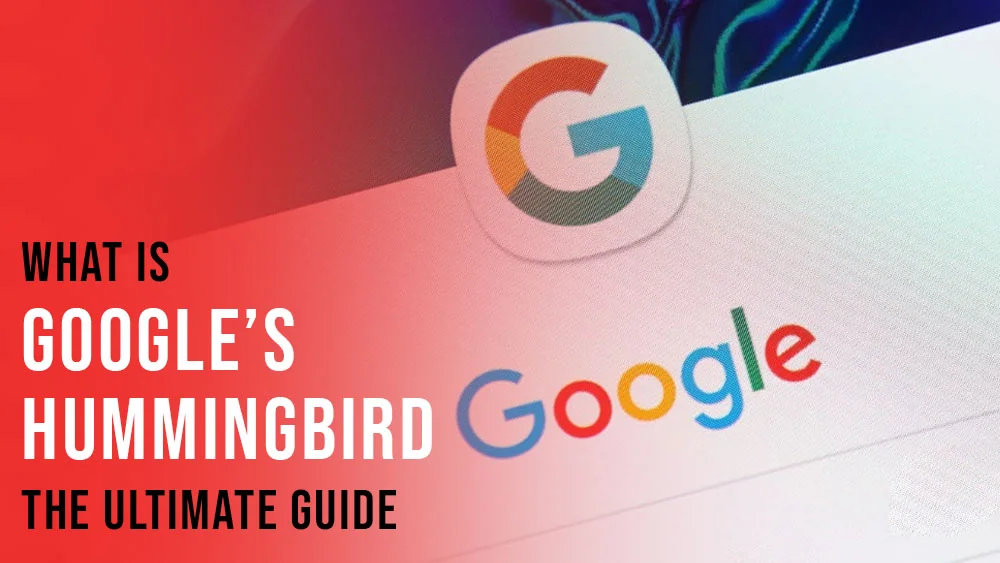 What is Google’s Hummingbird The Ultimate Guide